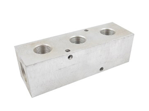 Manifold, colector